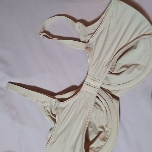 Delmira Size 34E Bra Style W581C Floral mesh beige pink Underwire NWOT. - Picture 3 of 5